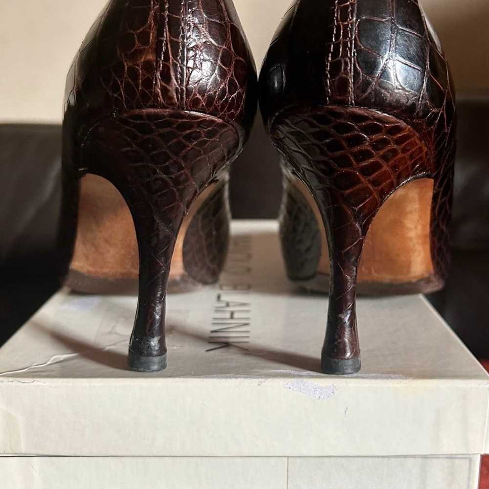 Manolo Blahnik - Dark Brown Alligator Pointed Toe… - image 9