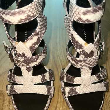 Giuseppe Zanotti Design