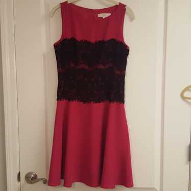 Ann Taylor LOFT Pink and Black Lace Dress