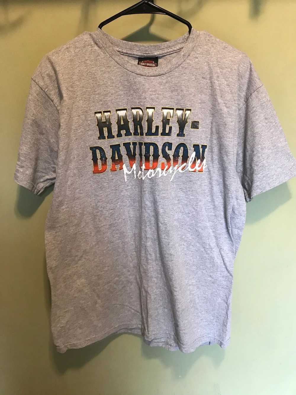 Harley Davidson × Vintage Harley Davidson Script … - image 1