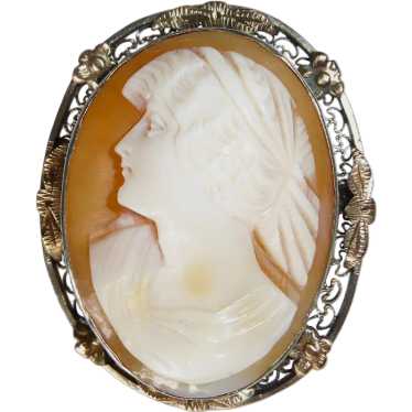 Elegant Carnelian Shell Cameo Pin