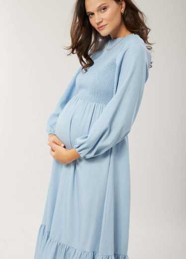 Ingrid+Isabel Meadow Chambray Maternity Dress