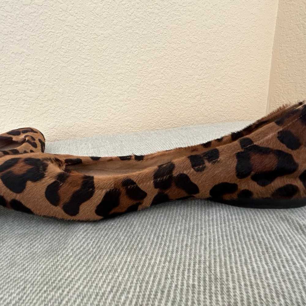 Stuart Weiztman Cognac Leopard Hair Flats Size 7M… - image 4