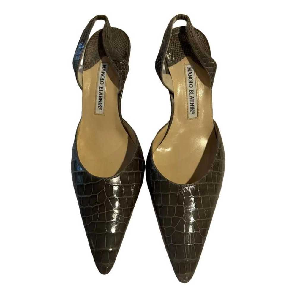 Manolo Blahnik Alligator heels - image 1