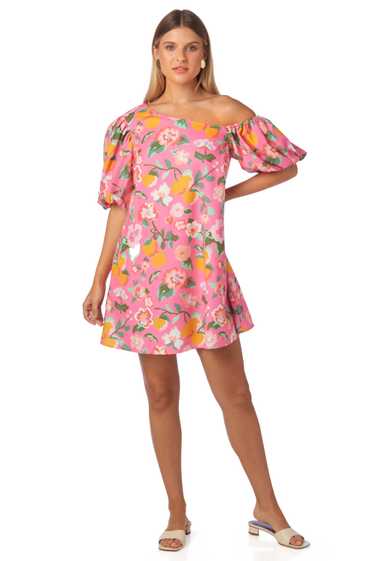 CROSBY by Mollie Burch Raleigh Dress - Paros