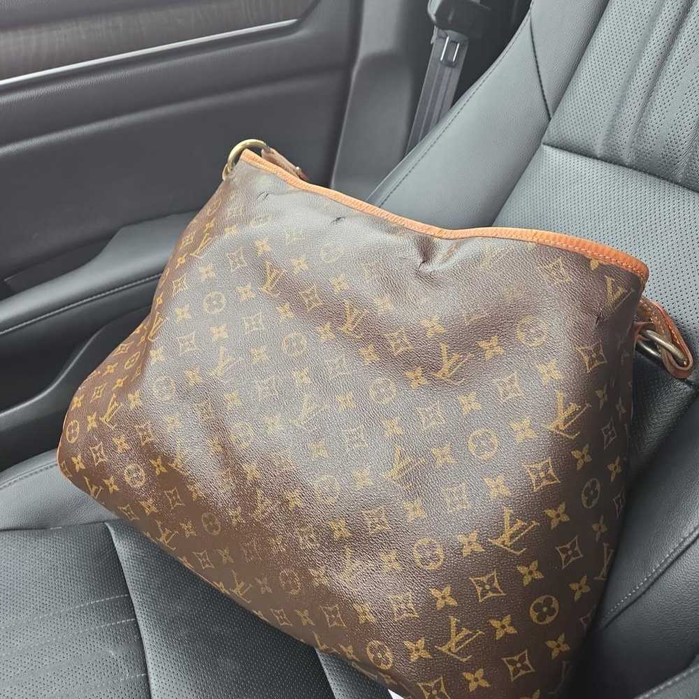 Louis Vuitton Delightful leather handbag - image 2