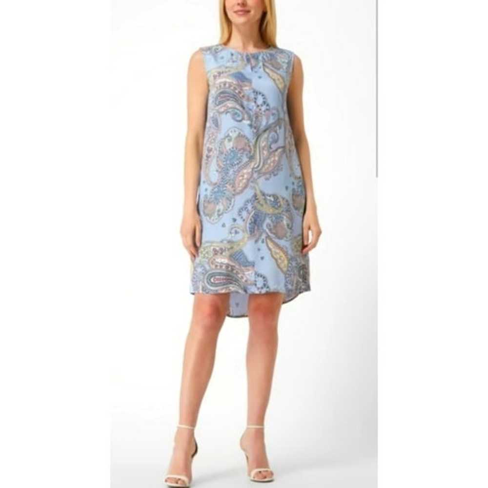 Sleeveless Midi Dress, Paisley Motif in Blue, Siz… - image 1