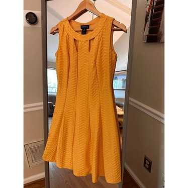 Enfocus Studio Size 6 Yellow Fit and Flare Dress