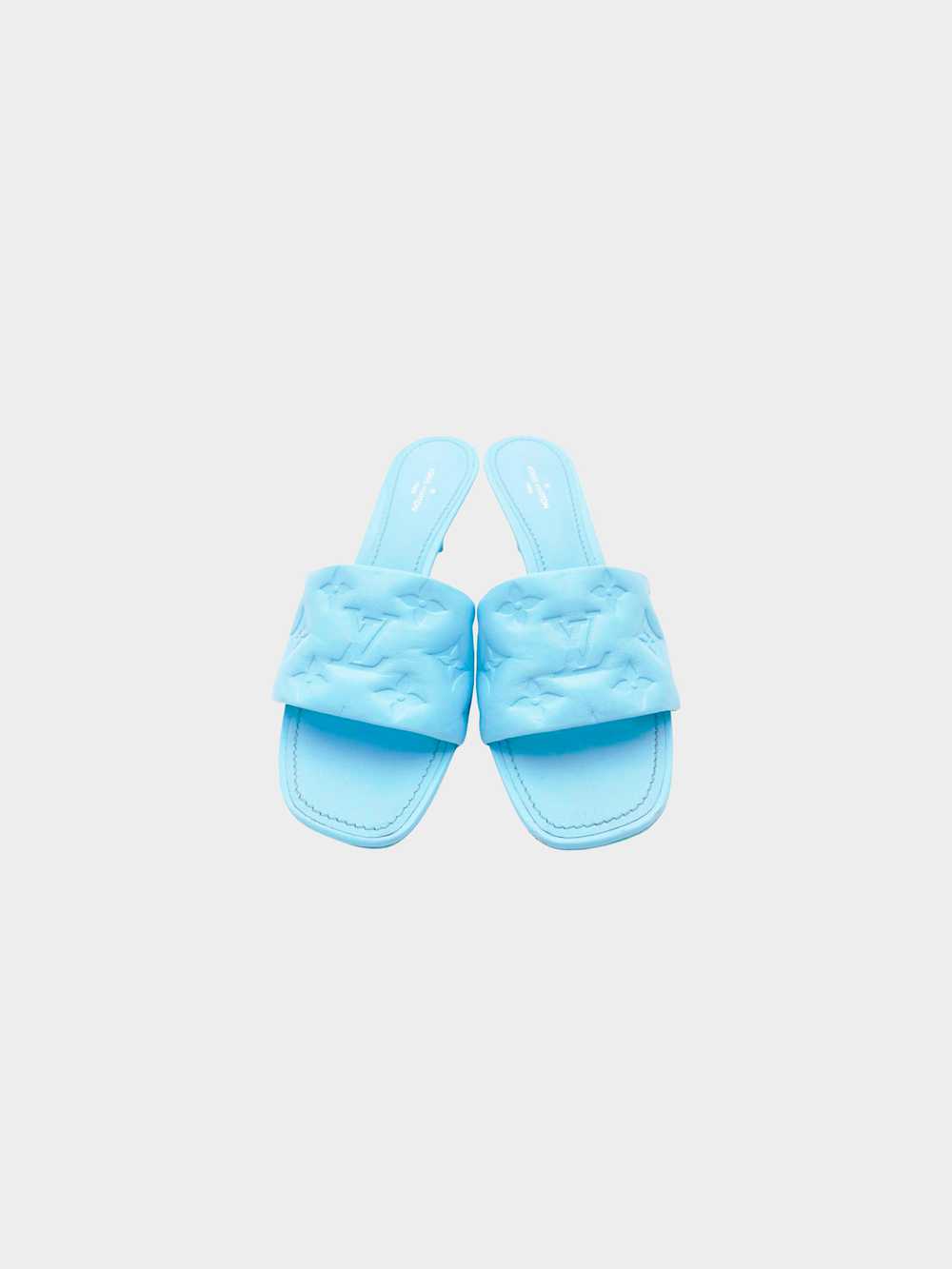 Louis Vuitton 2020 Light Blue Lambskin Leather Mo… - image 2