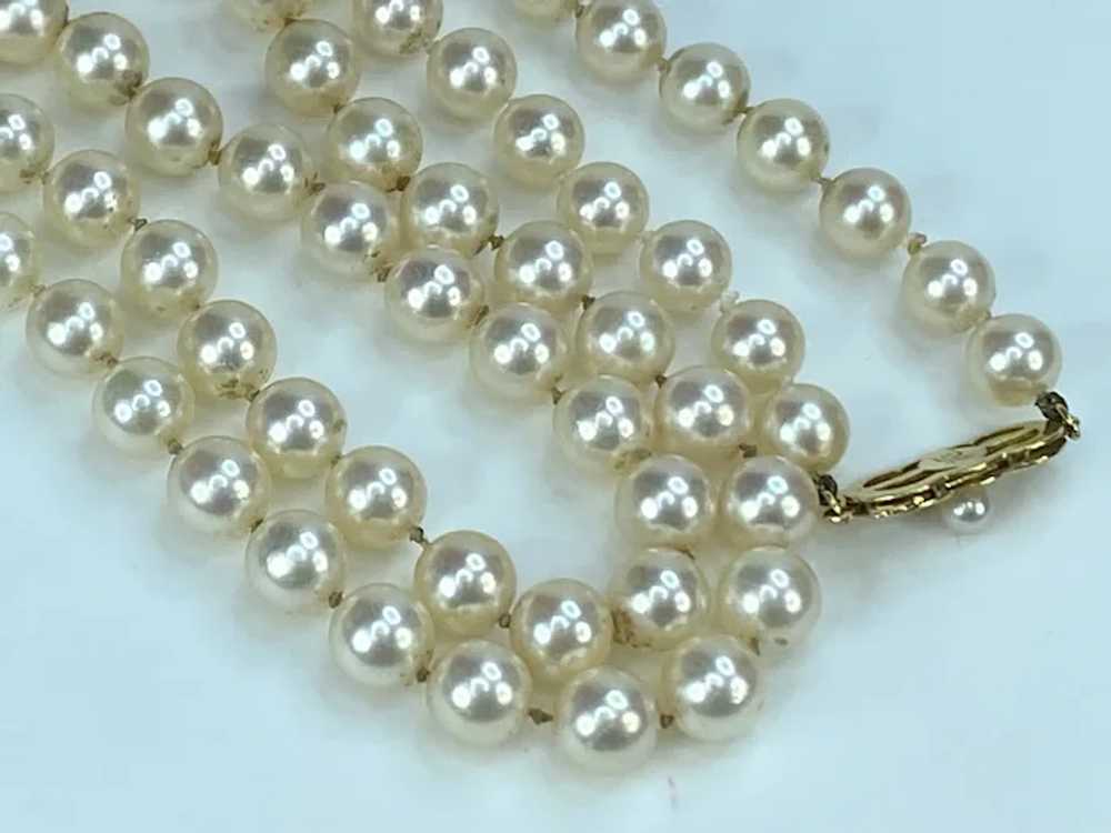 Mikimoto 18K gold 6.8mm Akoya Cultured Pearl Neck… - image 7