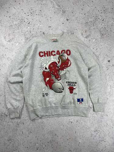 Chicago Bulls × NBA × Vintage Vintage Chicago Bul… - image 1