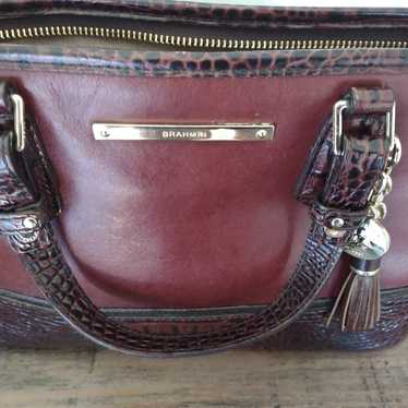 Brahmin Mini Asher Satchel Bag in Malbec Autumn Tu