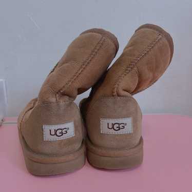 Chestnut Classic Short Uggs