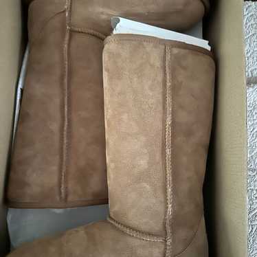 ugg tall boots