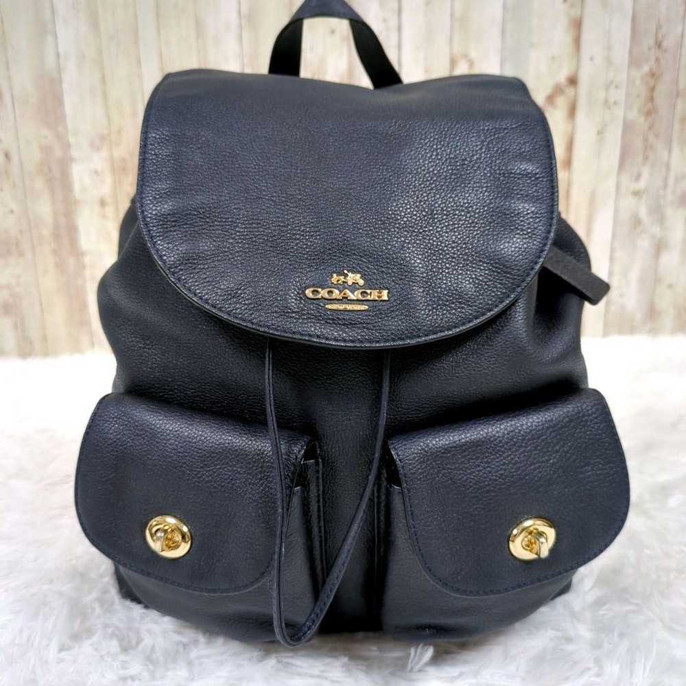 【Large Capacity, Excellent Condition】Coach All Le… - image 1