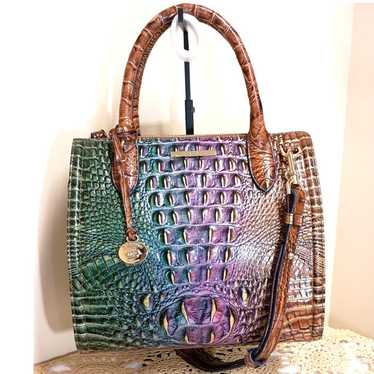 Stunning Brahmin Small Caroline in Mystical Ombre 