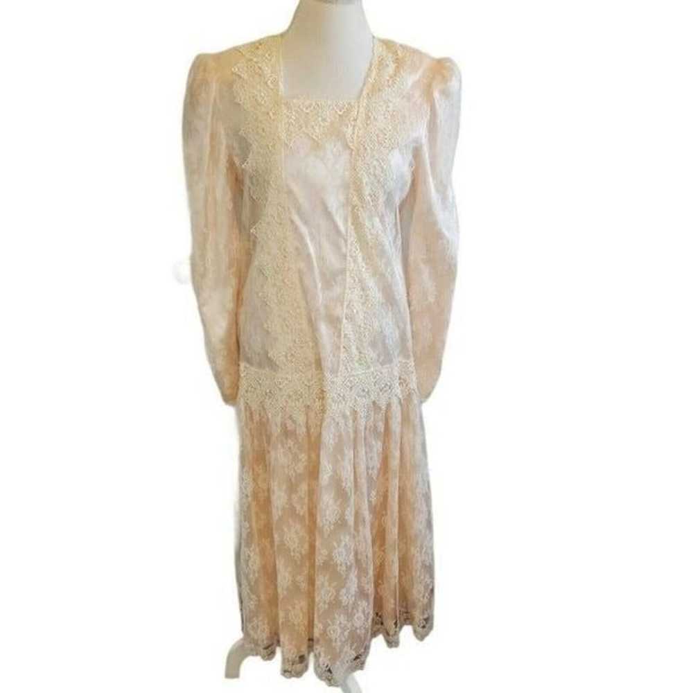 Vintage Victorian Lace Cottagecore Dress - image 1