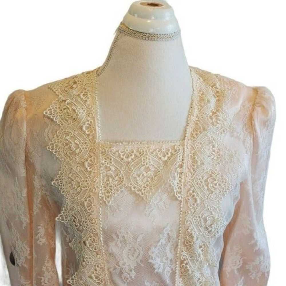 Vintage Victorian Lace Cottagecore Dress - image 3