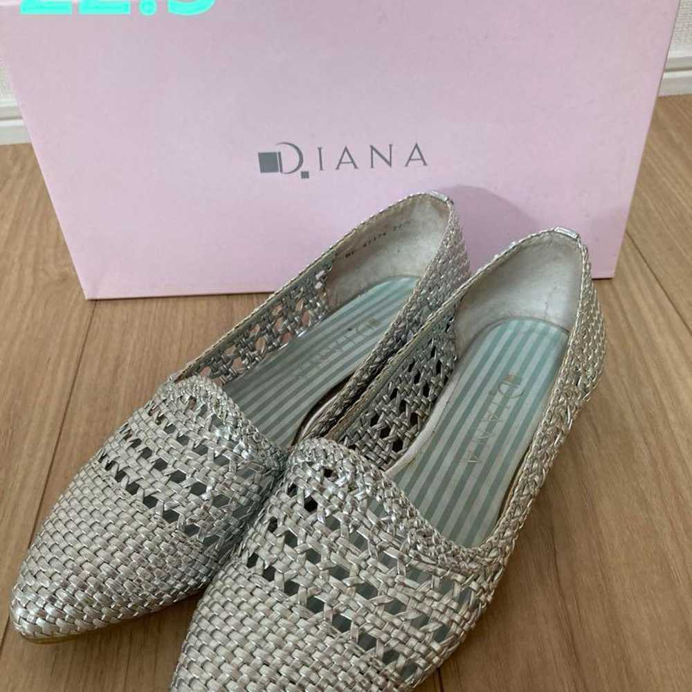 Diana Mesh Flat Pumps Silver - image 1