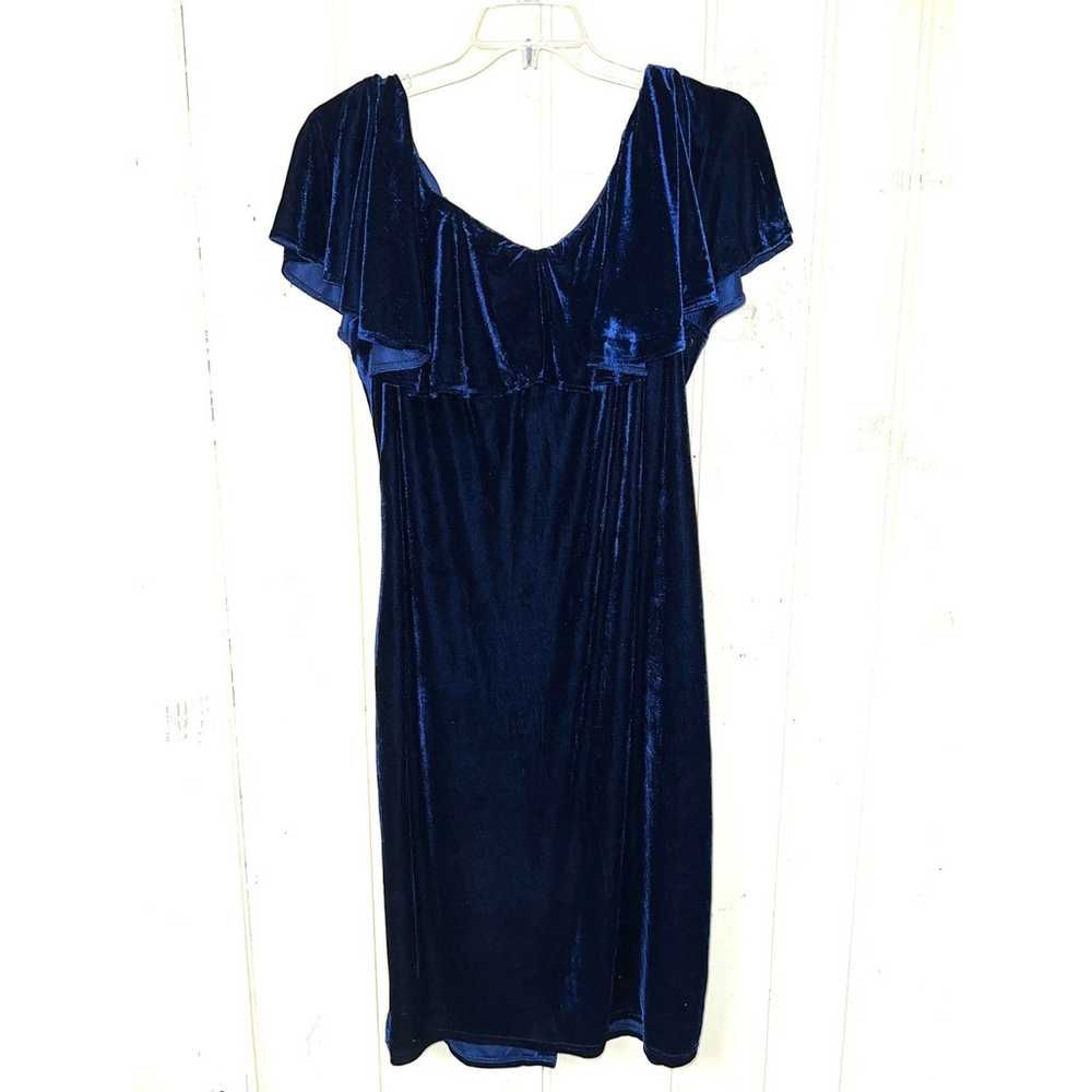 Unique Vintage Wiggle DRESS 22W 24W Blue Velvet F… - image 6