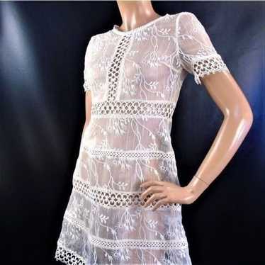 Sheer Ivory Lace Embroidered Mini Dress