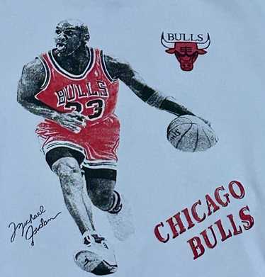 Chicago Bulls Michael Jordan Crewneck sz XL - image 1