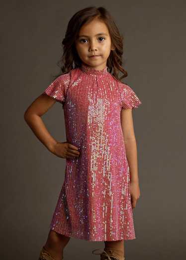 Joyfolie Chele Dress in Mesa Rose - image 1