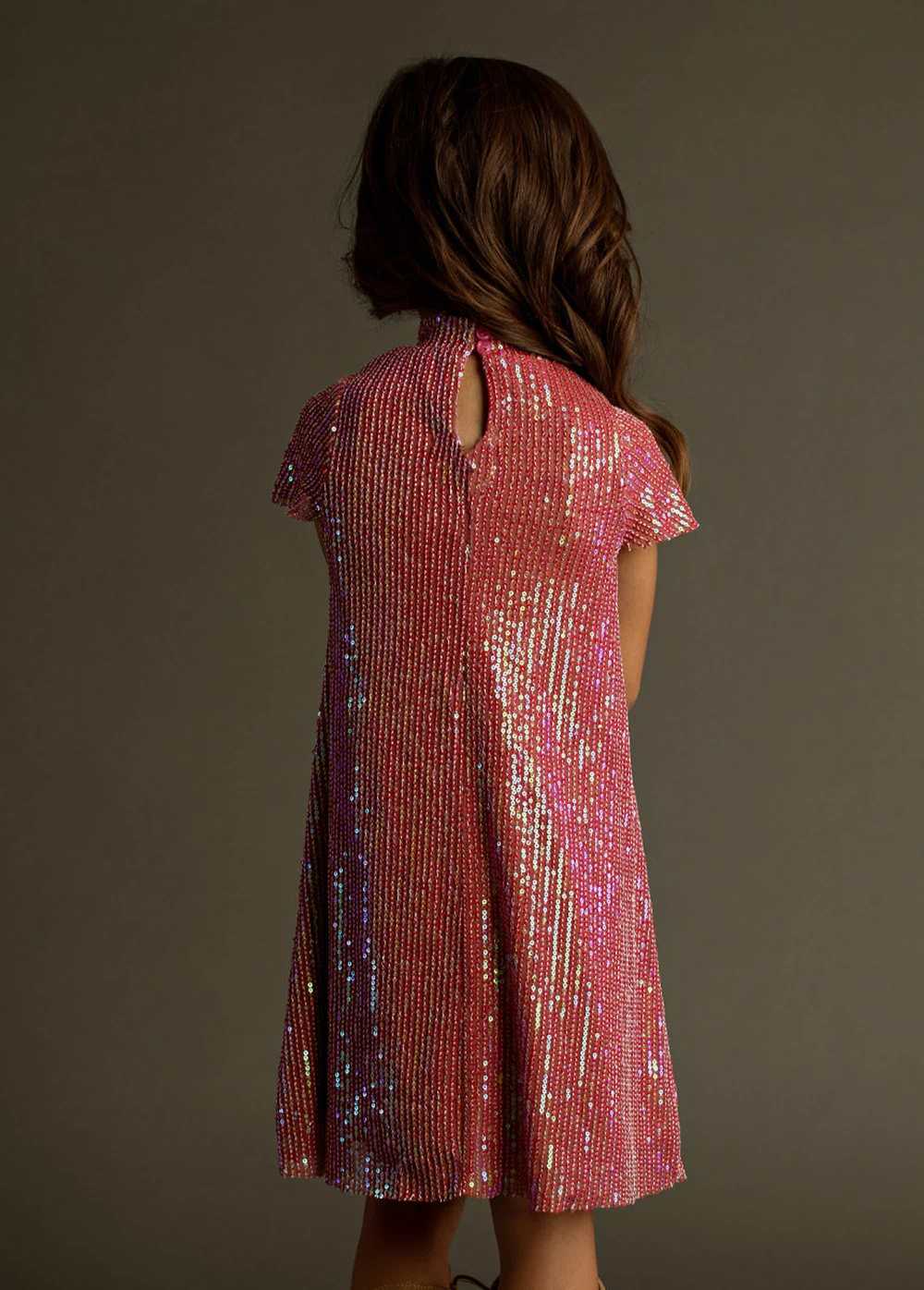 Joyfolie Chele Dress in Mesa Rose - image 2