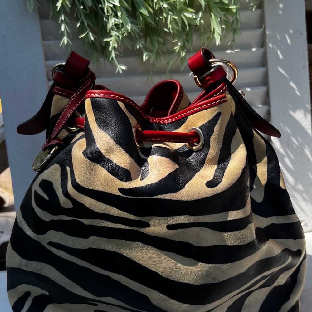 Dooney & Bourke Red Zebra Drawstring Leather Bag … - image 2