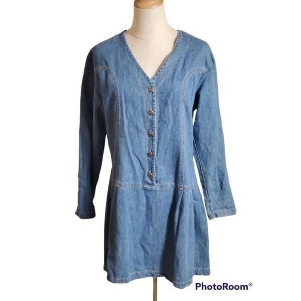 Northwest Blue Vintage Denim Dropwaist Mini Dress - image 1