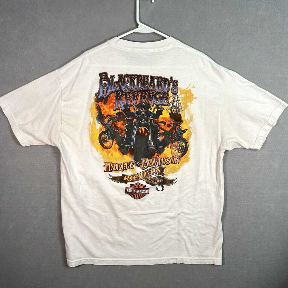 Harley Davidson Pirate Blackbeard's Revenge Harle… - image 2