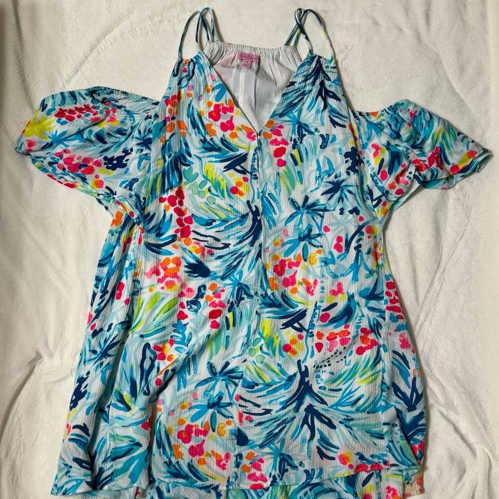 Lilly Pulitzer Dress - image 1