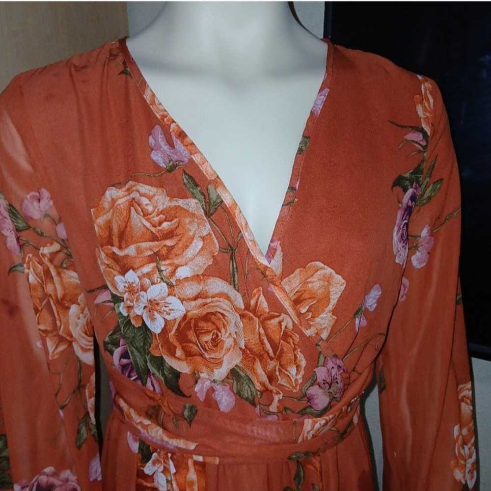 Beautiful Baltic Born floral Maxi Dress. New cond… - image 3