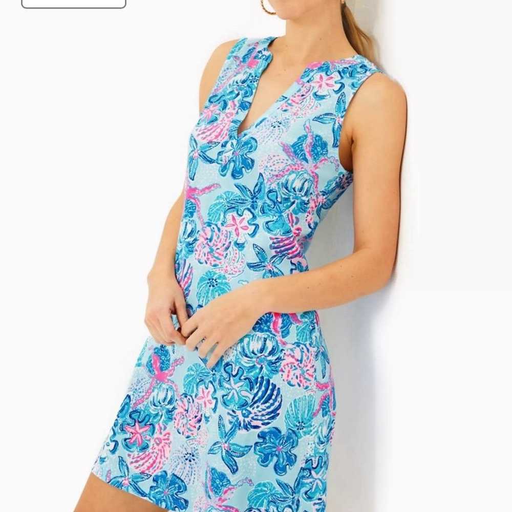 Lilly Pulitzer Dev Dress - image 1