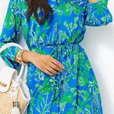 Lilly Pulitzer Pilar Tunic Dress - image 1