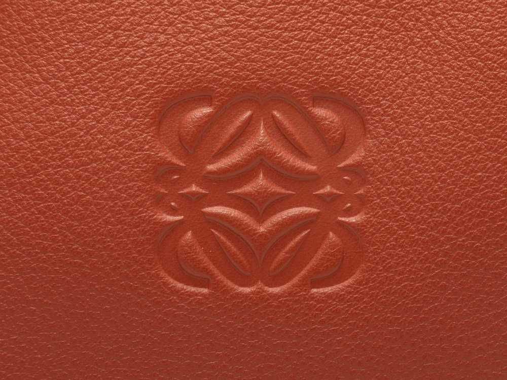 Orange & Mauve Loewe Amazona 35 Handbag - image 7