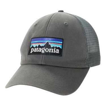 Patagonia P-6 Logo Trucker Hat