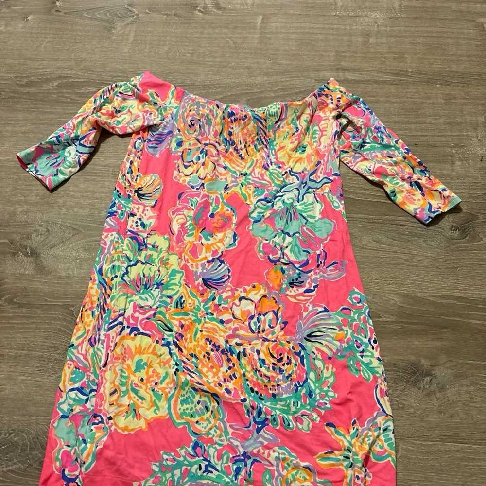 Lilly Pulitzer dress - image 1