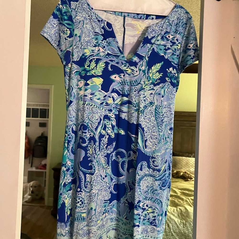 Lilly Pulitzer Dress - image 1