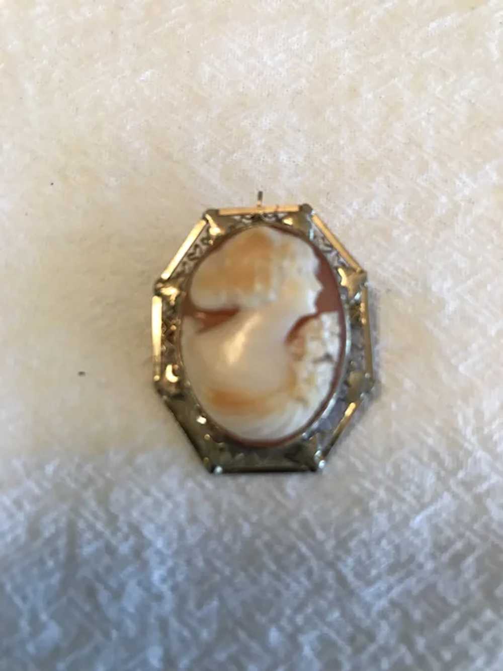 Antique 14K Cameo Brooch/Pendant - image 2