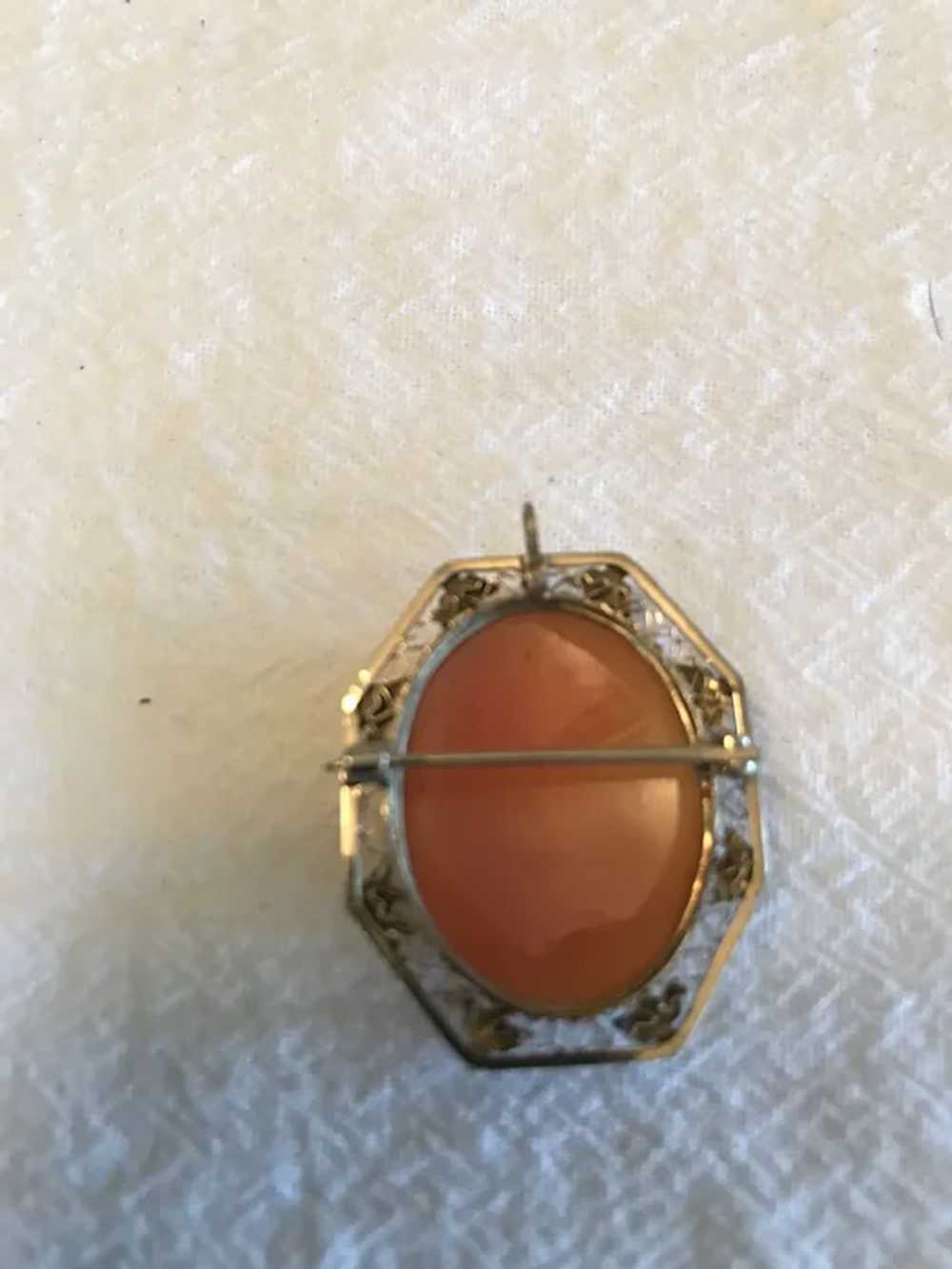 Antique 14K Cameo Brooch/Pendant - image 5