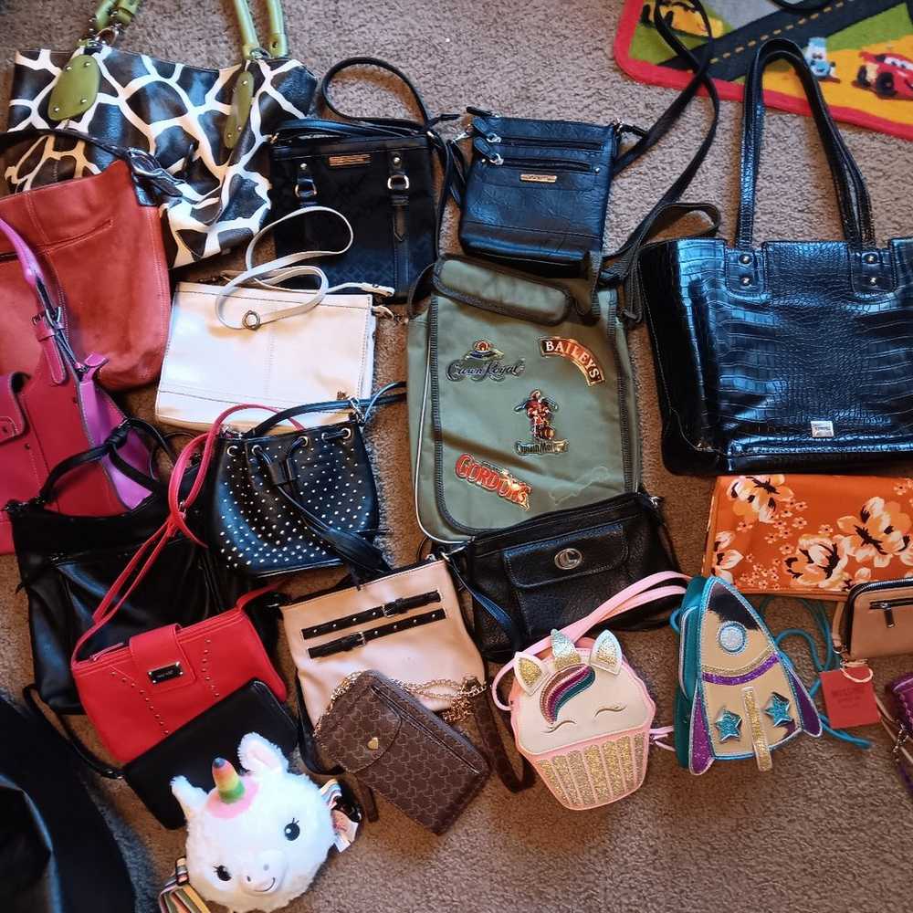 Accessory Closet Cleanout Major Haul - image 10