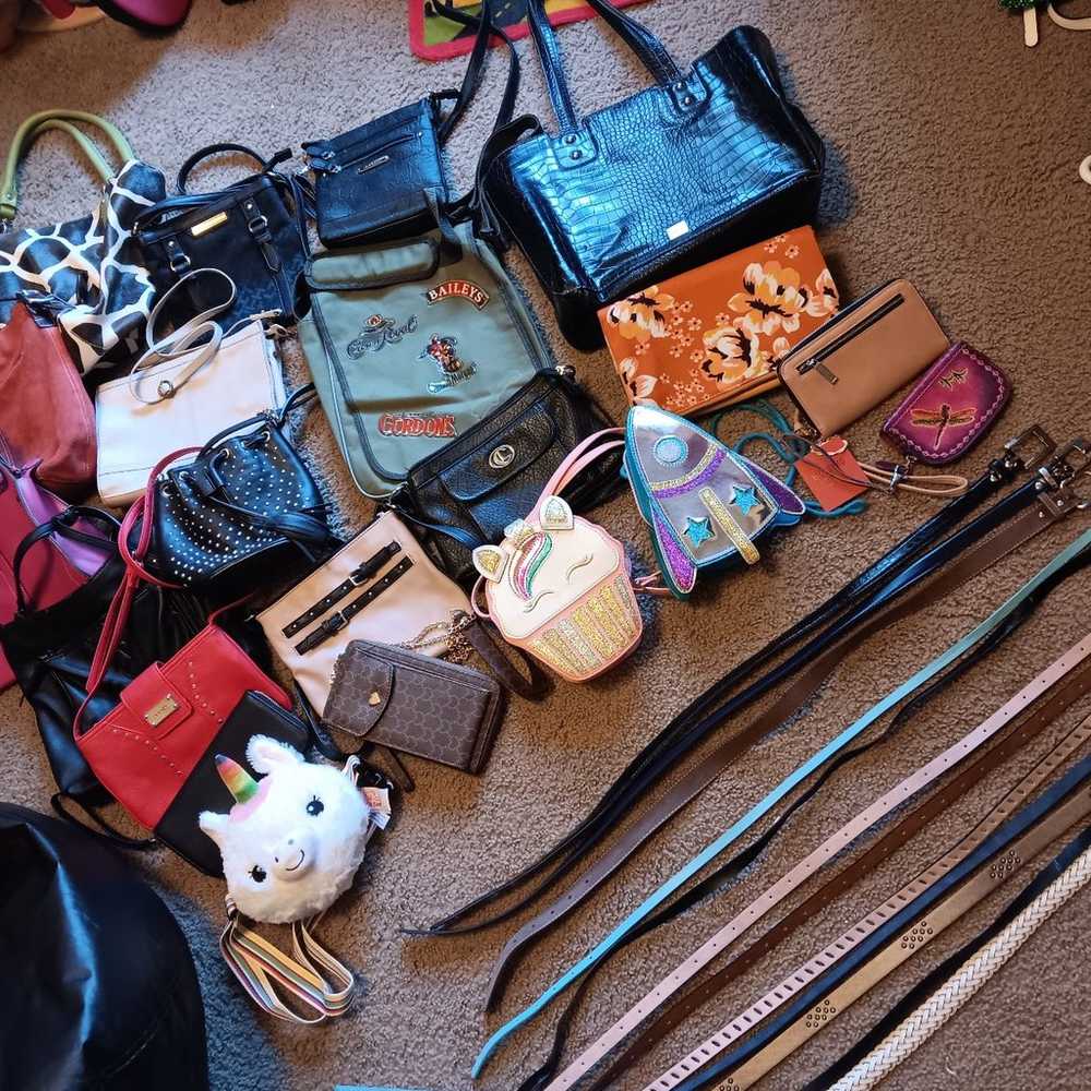 Accessory Closet Cleanout Major Haul - image 1