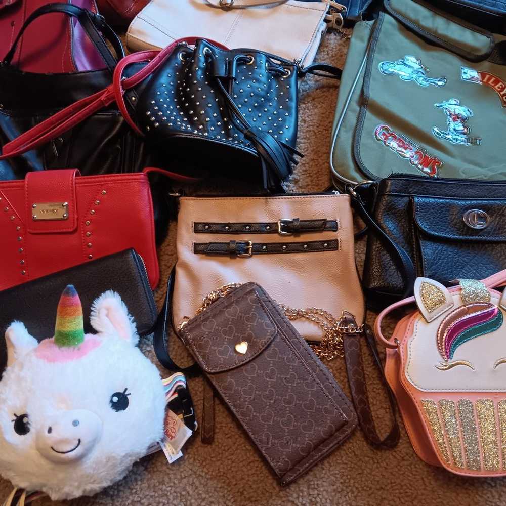 Accessory Closet Cleanout Major Haul - image 7