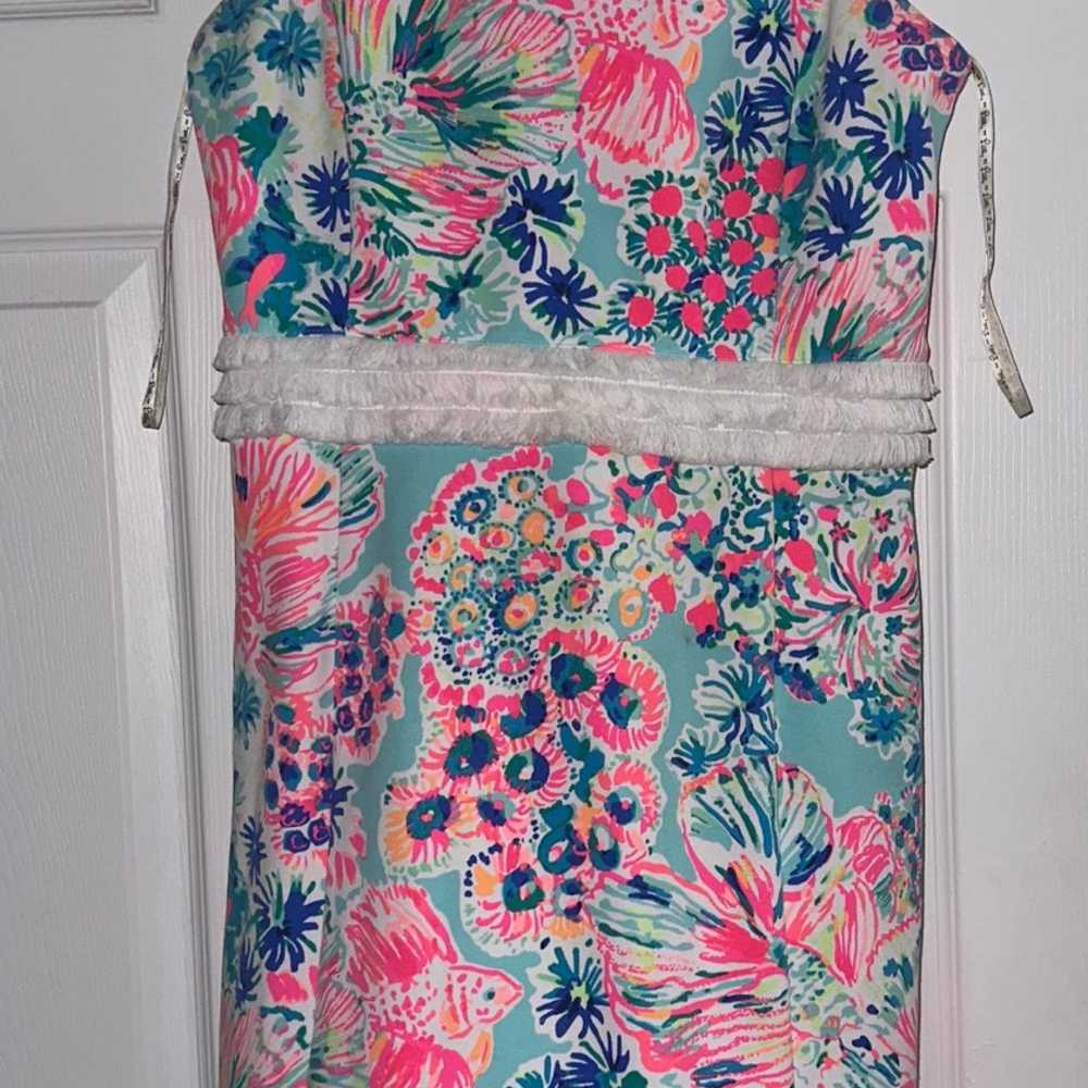 Lily Pulitzer Dress - image 1