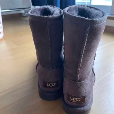 Brand new UGG CLASSIC SHORT