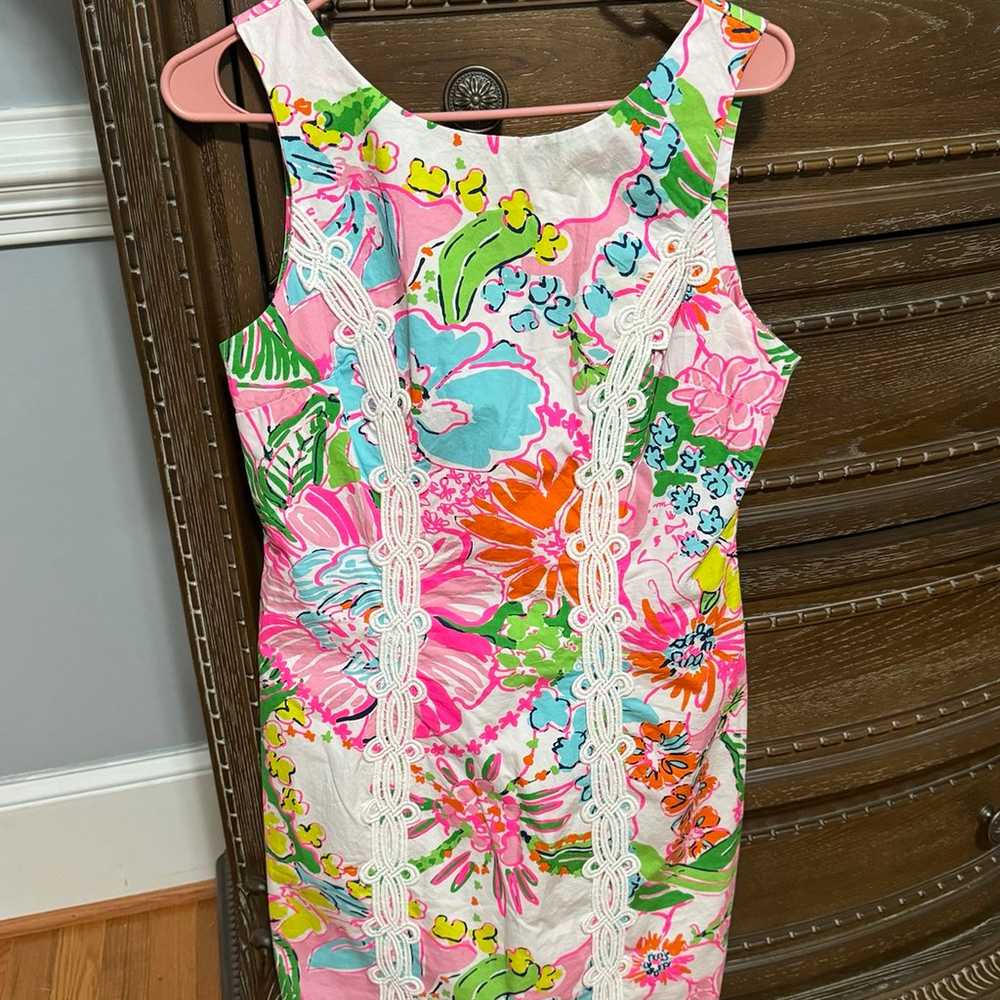 Lilly Pulitzer dress - image 1