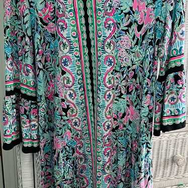 Lilly Pulitzer Dress - image 1