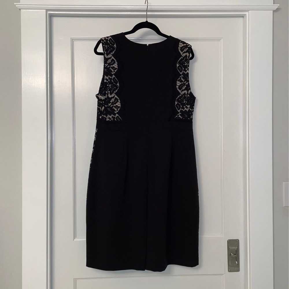 J. Crew Women's Dress with Lace - image 2