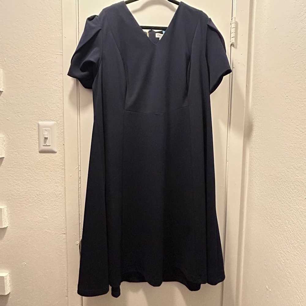 Plus Size Calvin Klein Dress - image 1